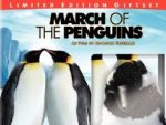 March of the Penguins