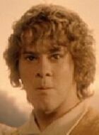 Merry Brandybuck