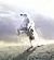 Shadowfax