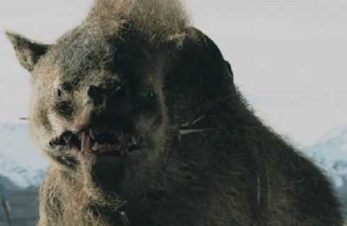 http://www.patriotresource.com/lotr/pics/characters/warg.jpg