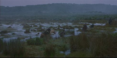 Midgewater Marsh
