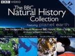 BBC Natural History Collection