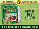 Gilligans Island